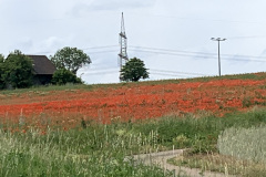 250601-64