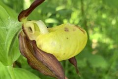 IMG_0916