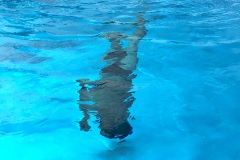 IMG_1749
