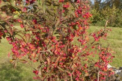 211030_Winzer-21