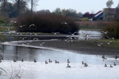 211030_Winzer-34