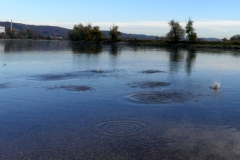 211030_Winzer-45