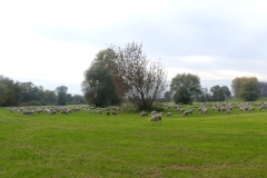 211030_Winzer-64