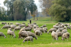 211030_Winzer-66