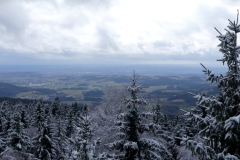 Waldwipfelweg-15