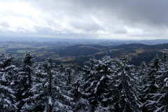 Waldwipfelweg-17