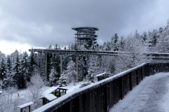 Waldwipfelweg-4