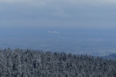 Waldwipfelweg-47