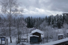 Waldwipfelweg-5
