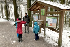 Waldwipfelweg-51