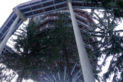 Waldwipfelweg-55