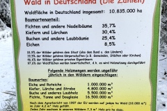Waldwipfelweg-67