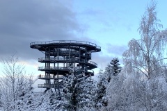 Waldwipfelweg-79