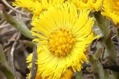 220226_Grieshaus-10