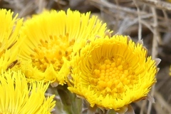 220226_Grieshaus-11
