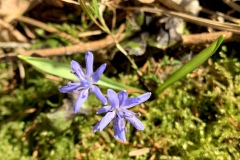 220226_Grieshaus-55