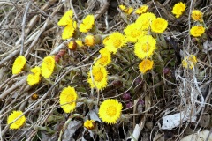 220226_Grieshaus-7
