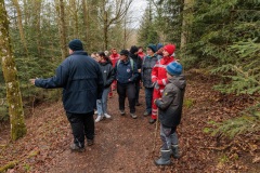02.04.2022, GER, Bayern, Passau: Ausbildung des Wasserwacht Bezirks Niederbayern Oberpfalz in Passau Hals zum Thema Frühblüher. Ausbilder und Naturschutzwächter Jürgen Tauer zeigt den Teilnehmer einen Naturaufwuchs junger Tannen, welcher ohne Einfluss des menschen entstanden ist.