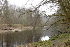 220402_Hals_Fruehjahrsboten-86