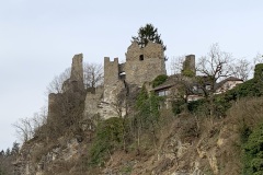 IMG_7990