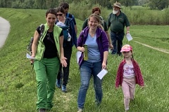 220430_Graureiher-14