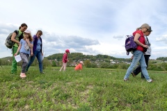 220430_Graureiher-21