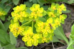 220430_Graureiher-23