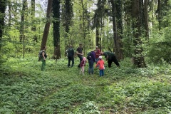 220430_Graureiher-24