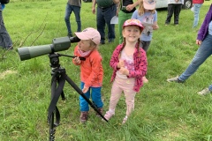 220430_Graureiher-3