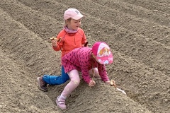 220430_Graureiher-39