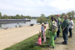 220430_Graureiher-49