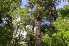 220528_Naturstreife_Mai-27