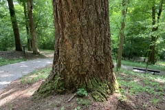 220528_Naturstreife_Mai-36