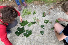 220528_Naturstreife_Mai-41