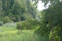 P1150426