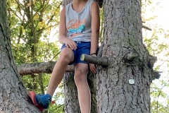 220810_Maislabyrinth-45