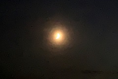 IMG_4628