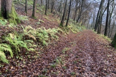 221126_Natternberg-45