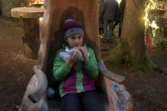 221203_Schweinhuett-47