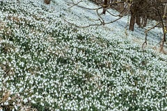 IMG_6494