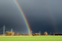 IMG_7088