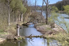 240329_Karfreitag-30