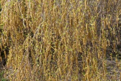 240329_Karfreitag-32