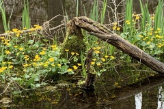 240329_Karfreitag-60