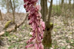 240329_Karfreitag-65