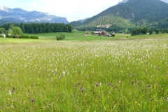 230617_Samstag-110