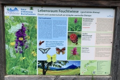 230617_Samstag-119