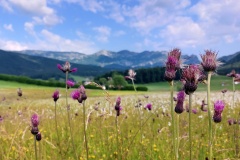 230617_Samstag-120