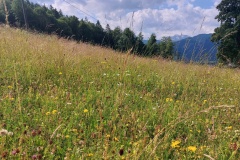 230617_Samstag-126