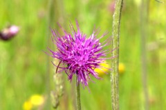 230617_Samstag-137